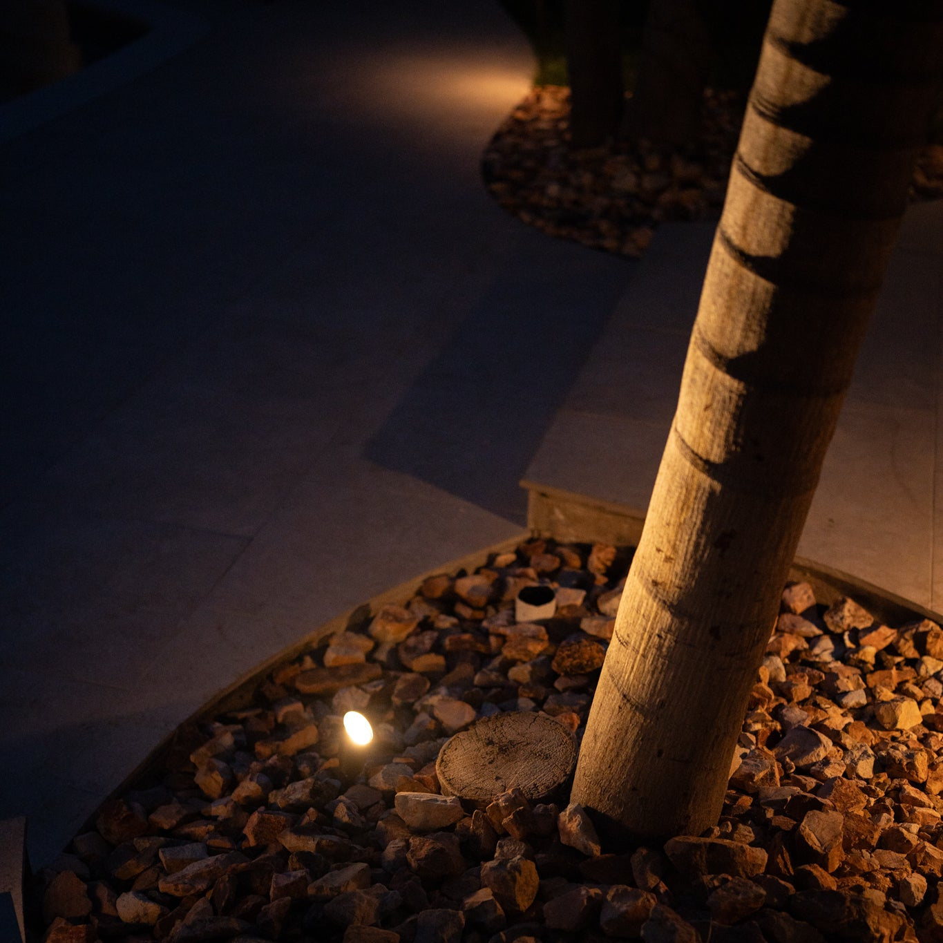 Rein Bronze Spotlight