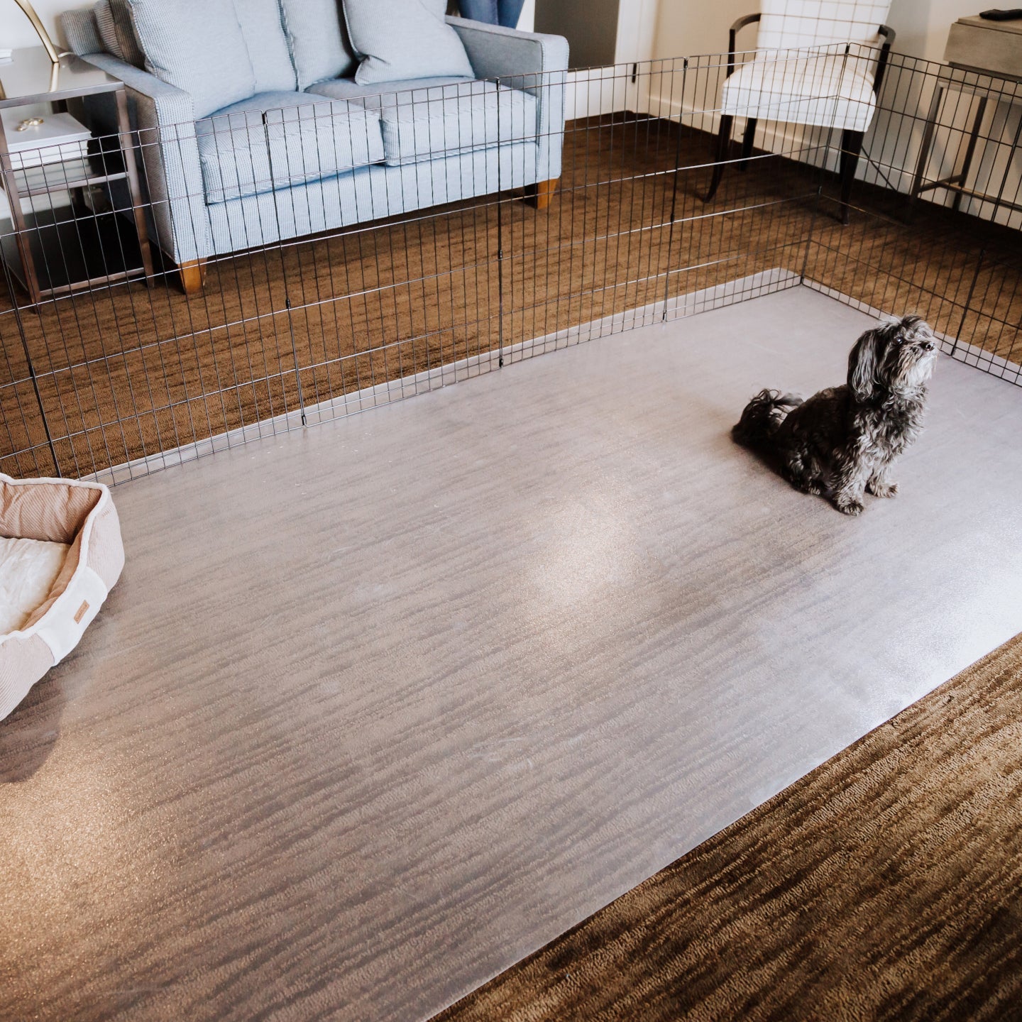 Pet Protective Flooring | Ceramic Texture | 5' x 10' | G-Floor<sup>®</sup> Pet Protective Flooring