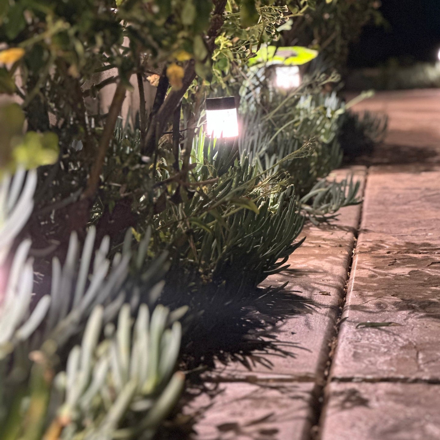 Brutus 15"-18" Black Brass Bollard