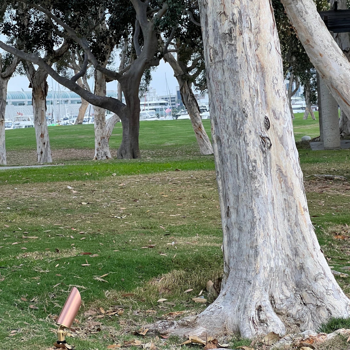 Cuprum Copper Spotlight