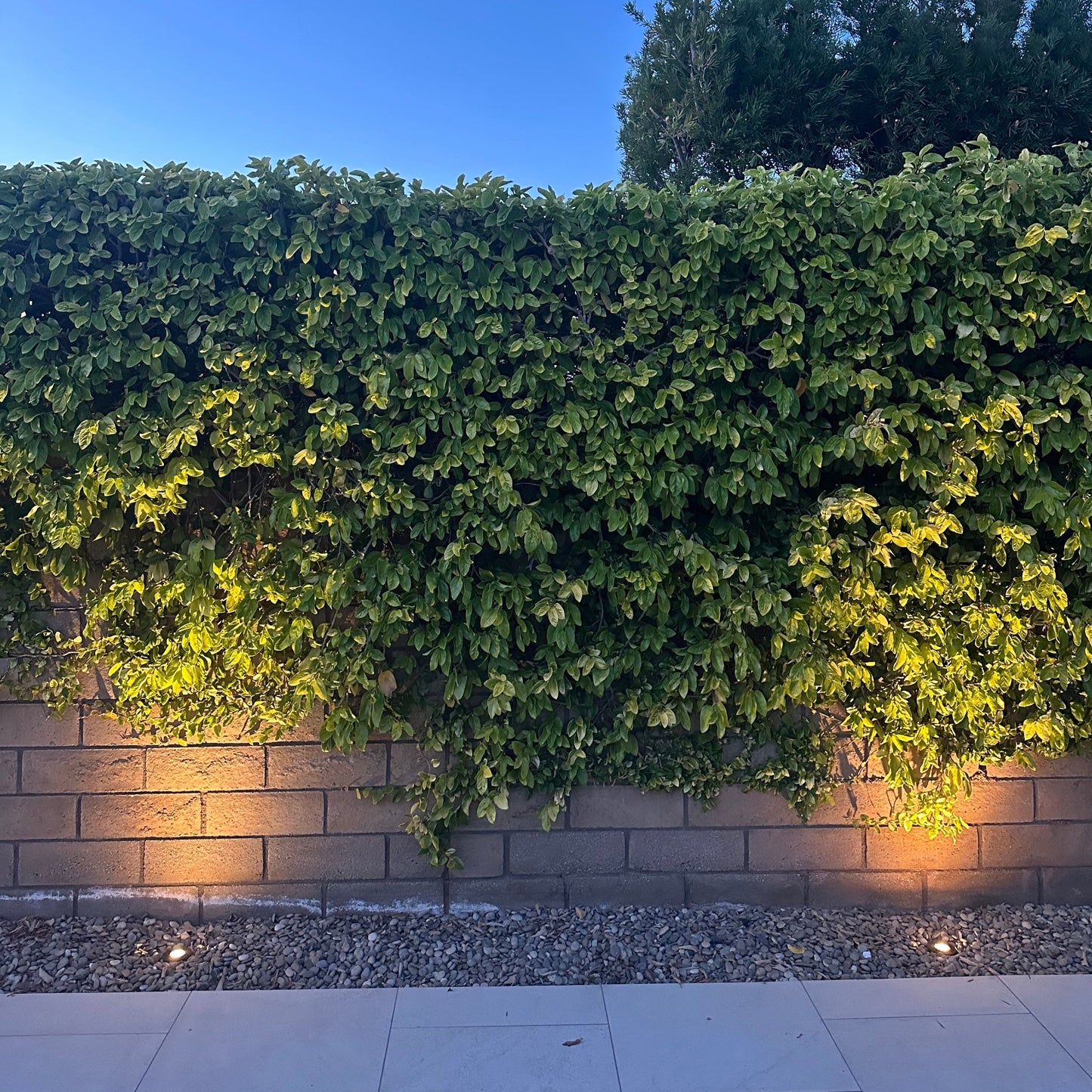 Stelvio Antique Brass Well Light