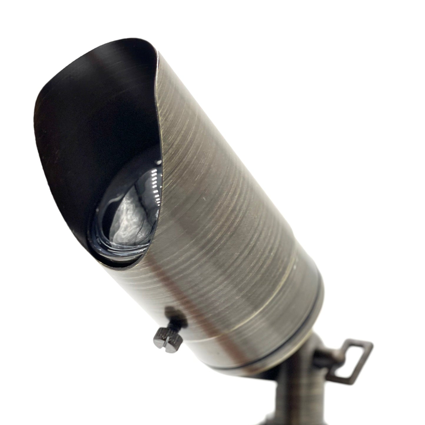 Rein Adjustable Bronze Spotlight