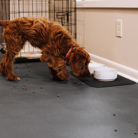 New Pet Parent Kit | 5' x 10' Mat, Kennel Mat, Pet Bowl Mat | G-Floor<sup>®</sup> Pet Protective Flooring