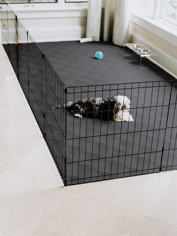 Pet Protective Flooring | Levant™ Texture | G-Floor<sup>®</sup> Pet Protective Flooring