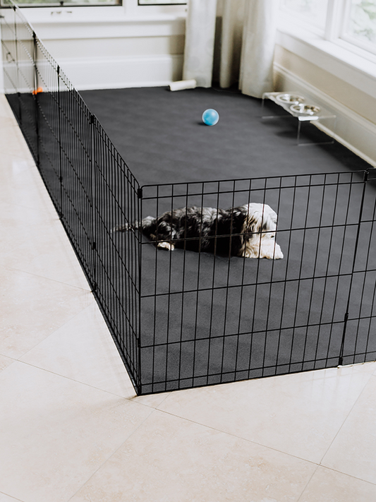 Pet Protective Flooring | Levant™ Texture | G-Floor<sup>®</sup> Pet Protective Flooring