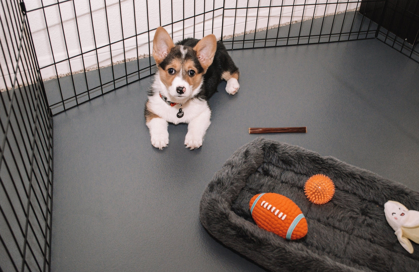 Pet Protective Flooring | Ceramic Texture | 5' x 10' | G-Floor<sup>®</sup> Pet Protective Flooring