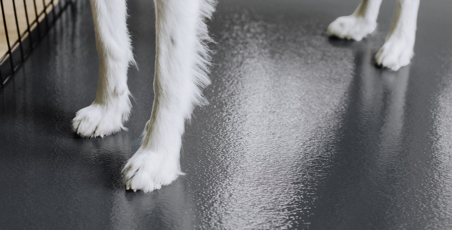 Pet Protective Flooring | Ceramic Texture | 5' x 10' | G-Floor<sup>®</sup> Pet Protective Flooring