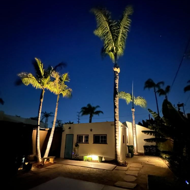 Stelvio BAB Brass Spot Light