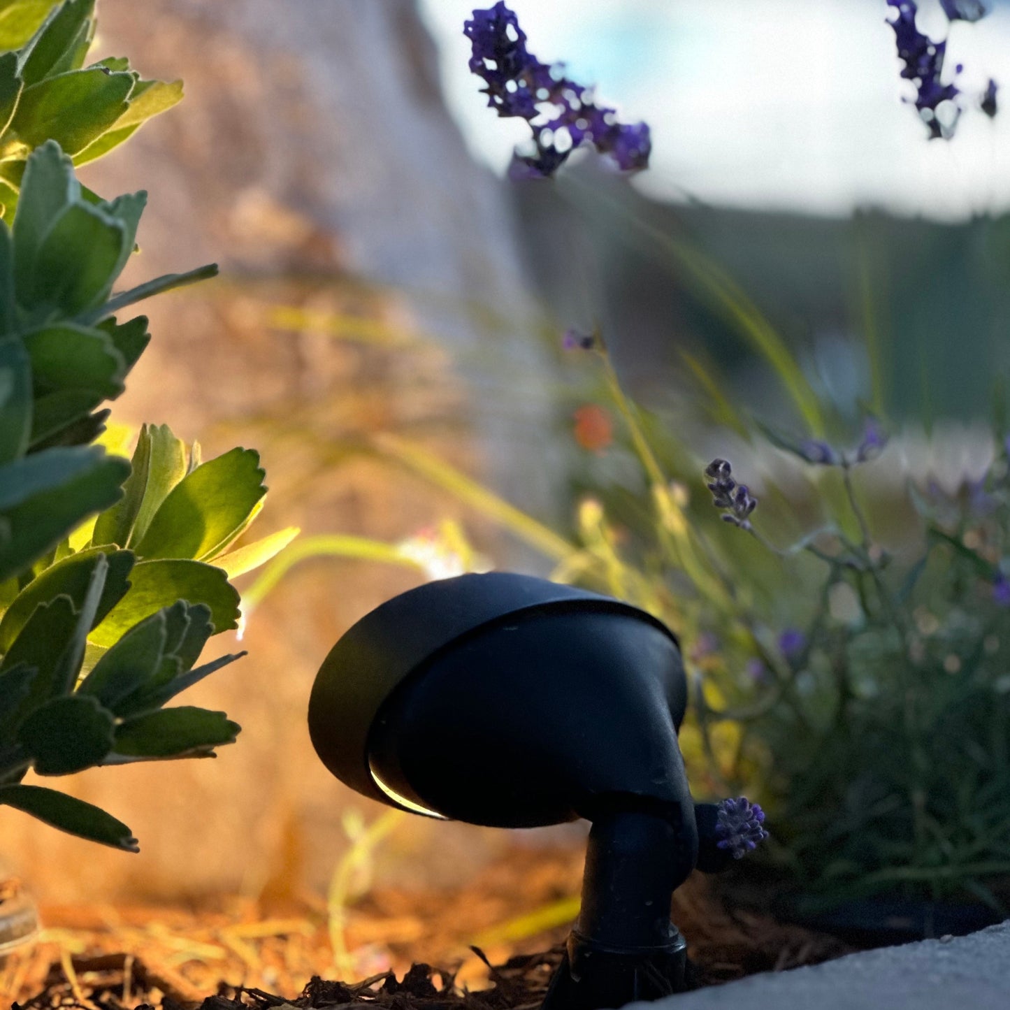 Tulay Black Oval Flood Light