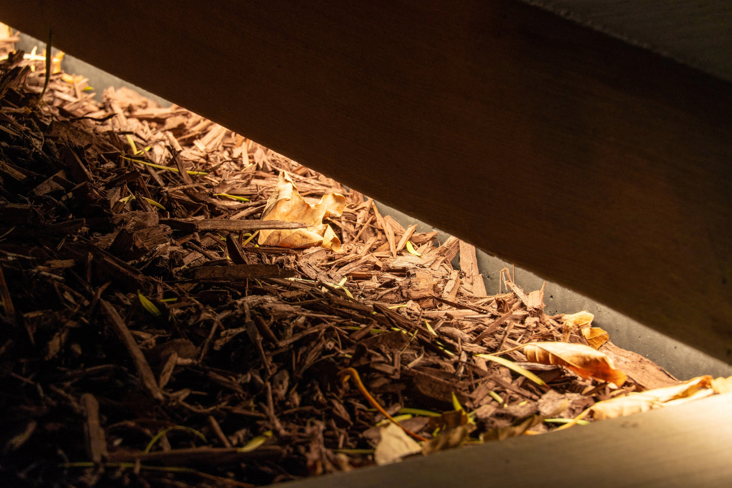 Neon 3M Frosted Strip Light 16.4' 12VAC