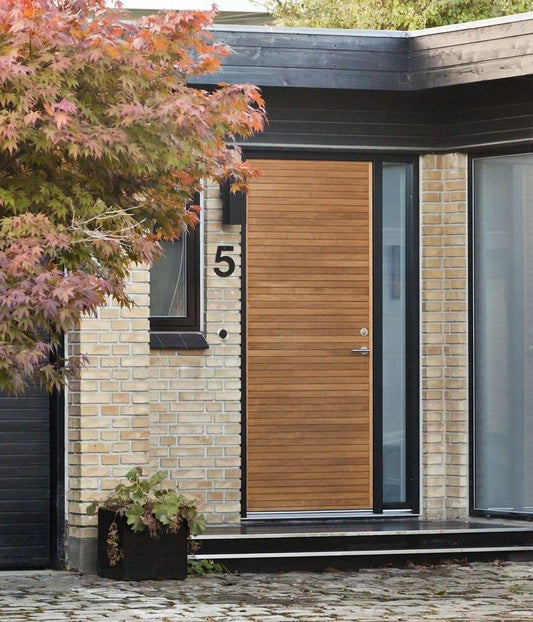 Swing Door – PY-123 – Modern Interior Swing Design